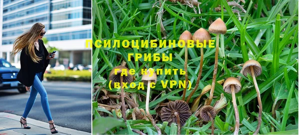 марихуана Бородино