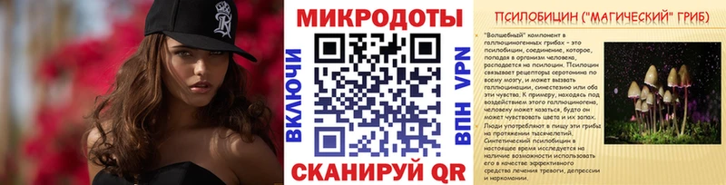 Купить где  Кудрово  Галлюциногенные грибы Psilocybe 